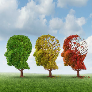 Confronting the Global Burden of Alzheimer’s Disease