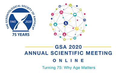 GSA 2020 meeting image