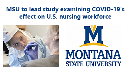 Msu study image