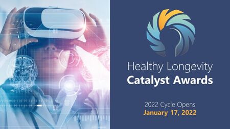 HLGC Promotion Graphics 2022 Catalyst Awards INTERNATIONAL