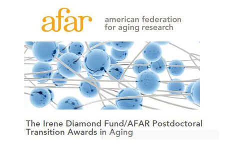 AFAR_Diamond_600