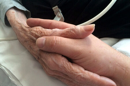 LIHerald_Palliative_Conference