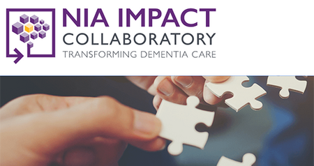 NIA IMPACT web