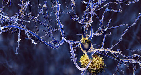 NASEM workshop 10 17 19