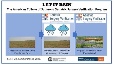Let it Rain Visual Abstract