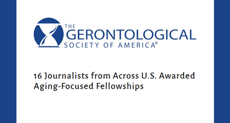 GSA fellowship 22