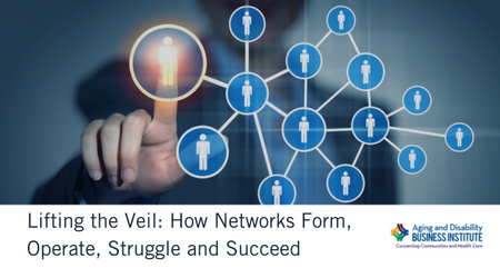 Aging and Disability Business Institute Research Report Lifting the Veil How Networks Form Operate Struggle and Succeed