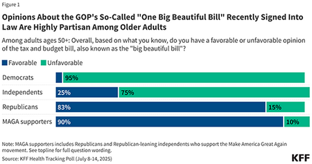 Opinions about the gop s so called one big beautiful bill recently signed into law are highly partisan among older adults