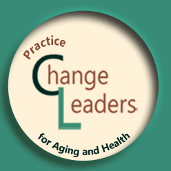Announcing the Practice Change Leaders