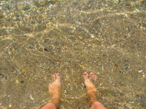 Transparency and the Teachable Moment