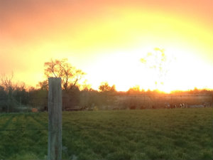 Behind the Scenes at the North By Northwest SIF Tour 2013