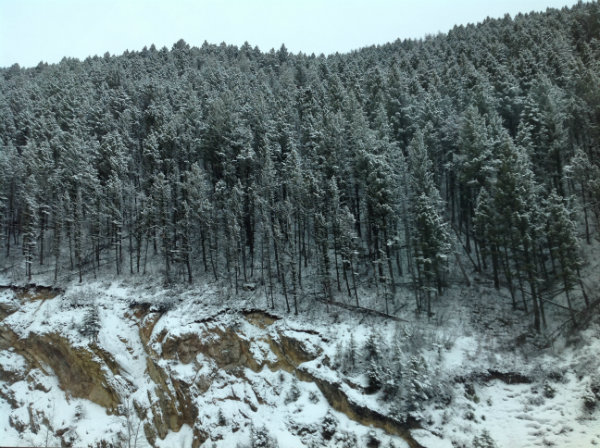 Springtime in Greycliff, Mont.