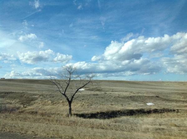 The stark beauty near Hardin, Mont.