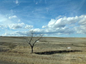 Celebrating a New Cohort of SIF Subgrantees, Reflecting on Our IMPACT in the Rural Northwest