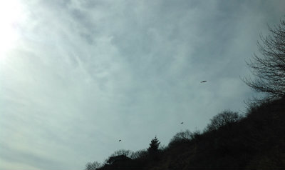 Innovative Depression Treatment Helps Sophie Enjoy Better Mental and Physical Health